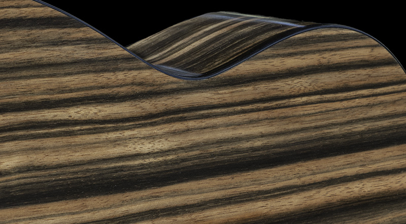 Macassar ebony back and sides, ebony bindings, and a cedar/cedar doubletop